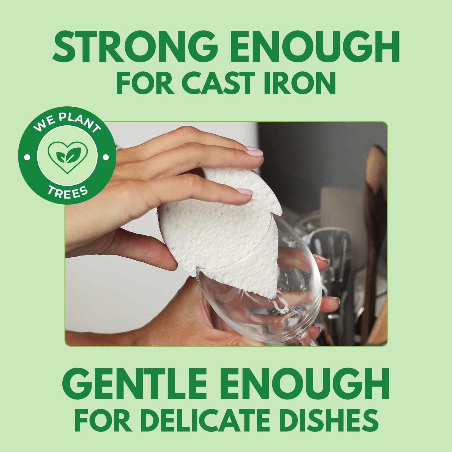 Biodegradable Natural Dish Sponges Kitchen Pack Of 6 Leaf And Sshaped Coconut An