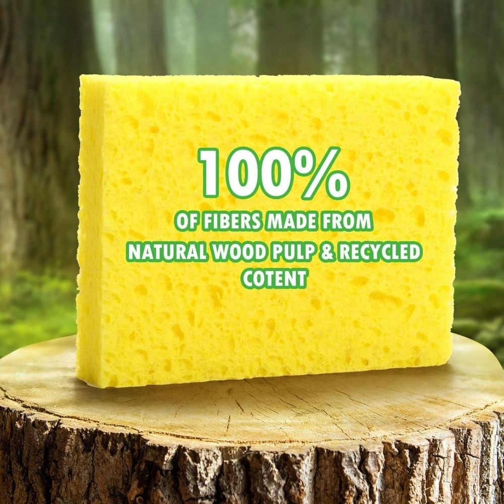 Compressed Cellulose Sponges 12 Pack Biodegradable Compostable Multipurpose