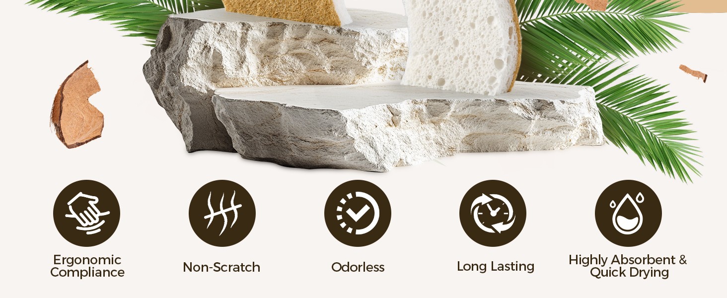 12 Pack Natural Biodegradable Kitchen Non Scratch Sponges,Compostable Plant