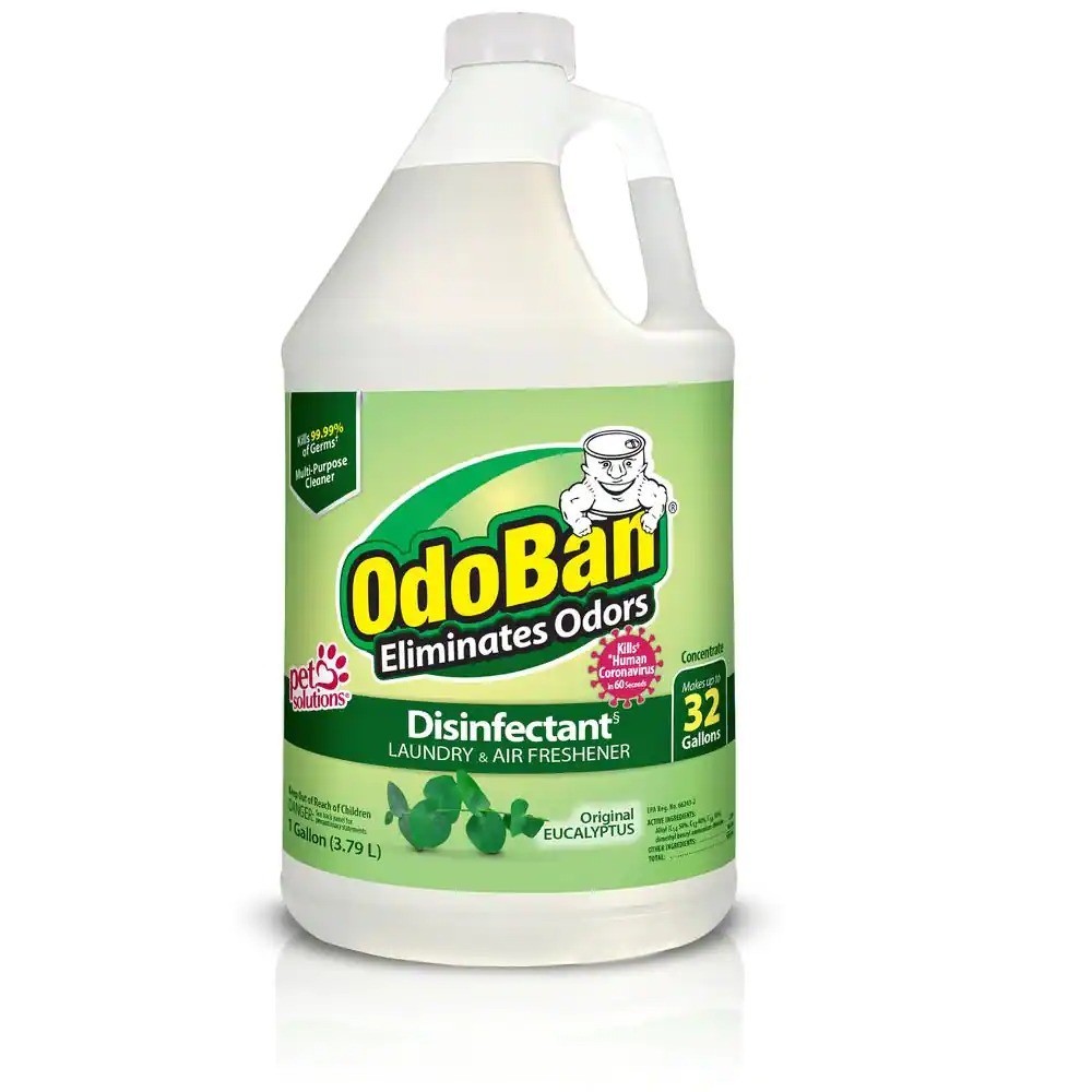 OdoBan 3.75 in.Cotton Wet Mop, 12 qt. Bucket with Wringer and 1 Gal. Eucalyptus