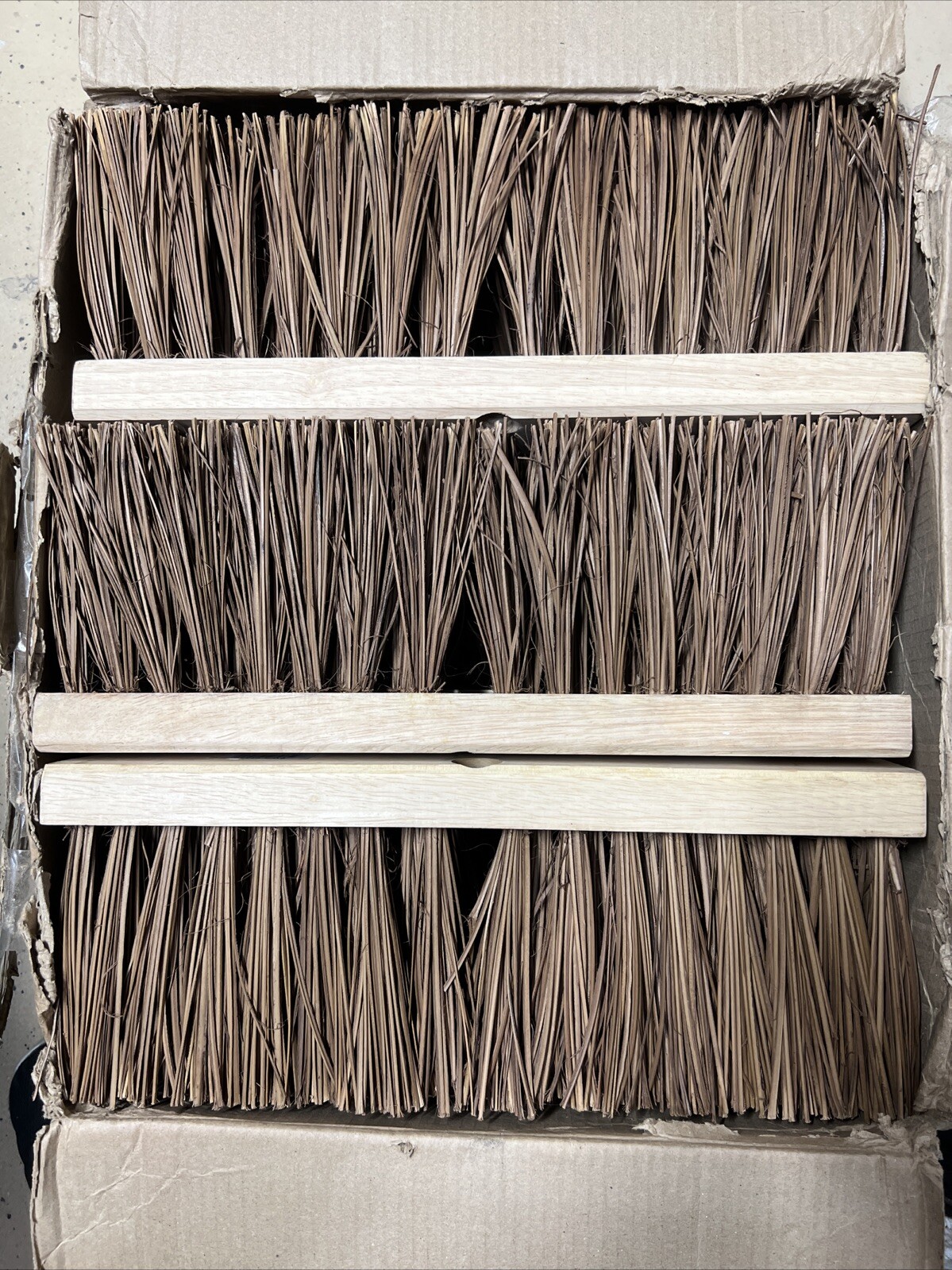 12 QTY Boardwalk BWK71160 6.25 in. Palmyra Fiber Bristles 16 in. Brush Broom