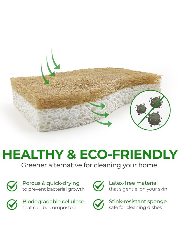 AIRNEX Natural Kitchen Sponge – Biodegradable Compostable 12 pack