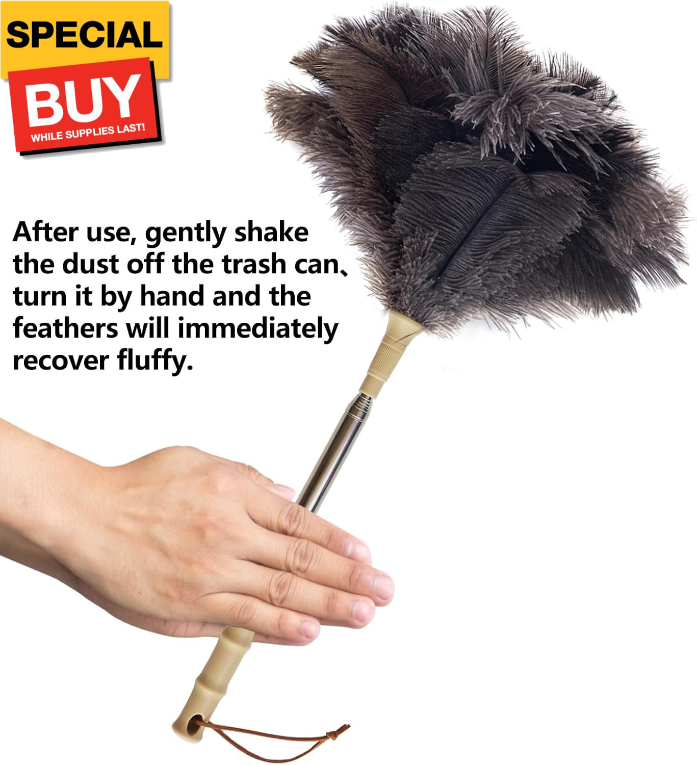 Ostrich Feather Duster with Extension Pole Up to 43 inch, Genuine Fluffy Natural