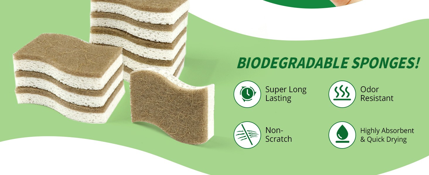 9 Pack Biodegradable Natural Kitchen Sponge – Compostable Cellulose and Coconut