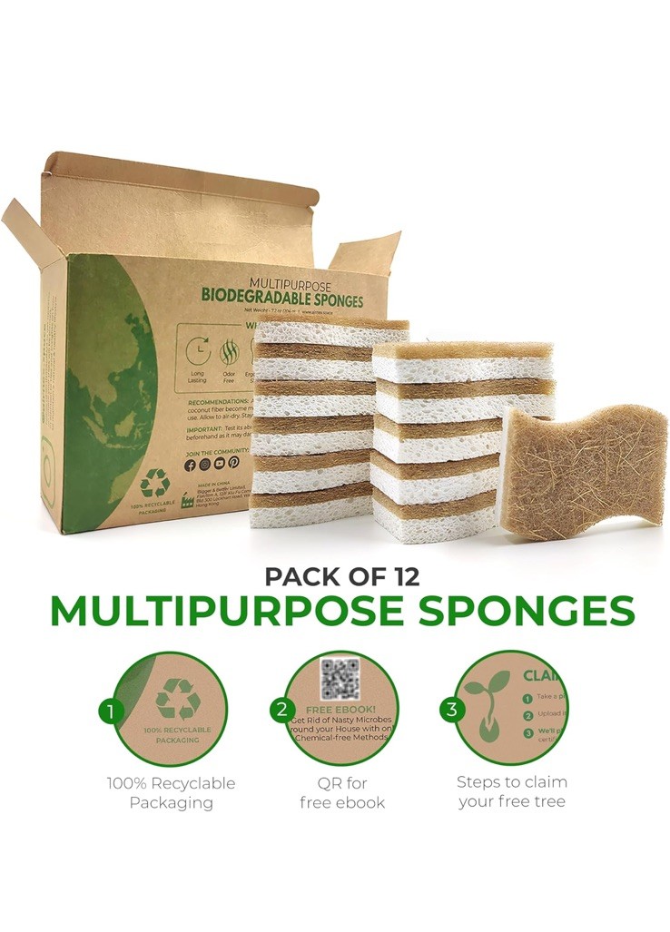 AIRNEX Natural Kitchen Sponge – Biodegradable Compostable 12 pack