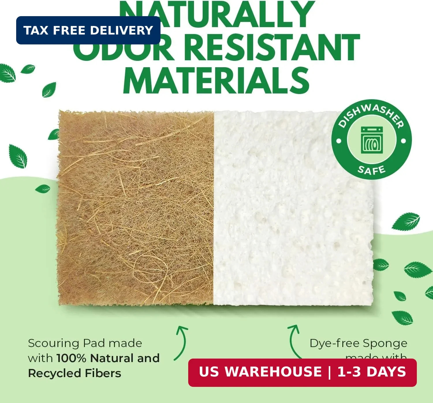 10 Pack Biodegradable Natural Kitchen Sponge – Compostable Cellulose and Coconut