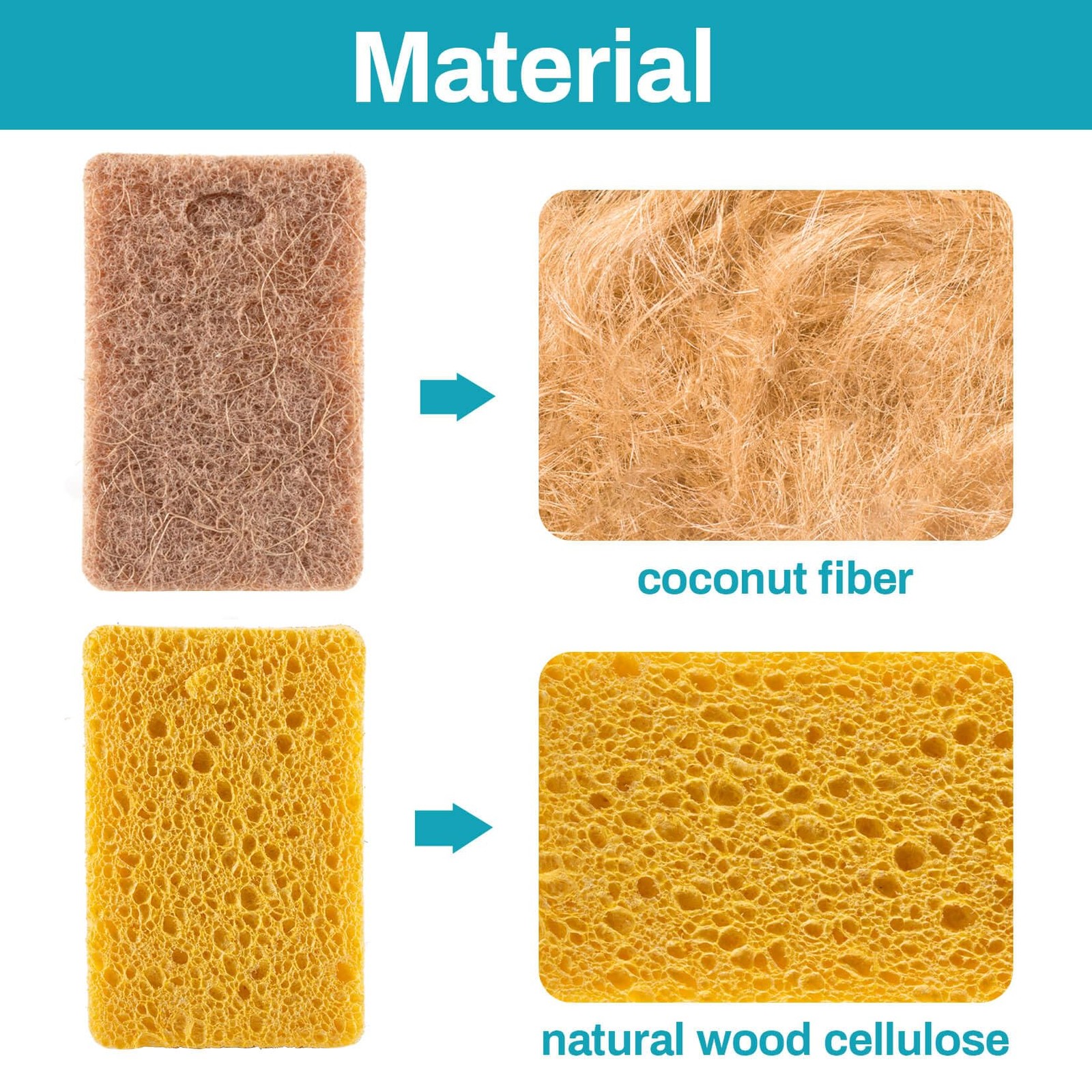 10PCS Natural Sponges for Dishes Biodegradable Sponges Kitchen Eco Friendly …