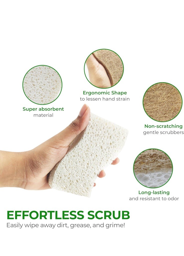 AIRNEX Natural Kitchen Sponge – Biodegradable Compostable 12 pack