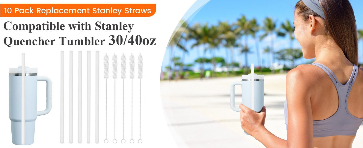 10 Pack Replacement Straws for Stanley 40/30 oz, Cut-to-Fit Long Straw Fits