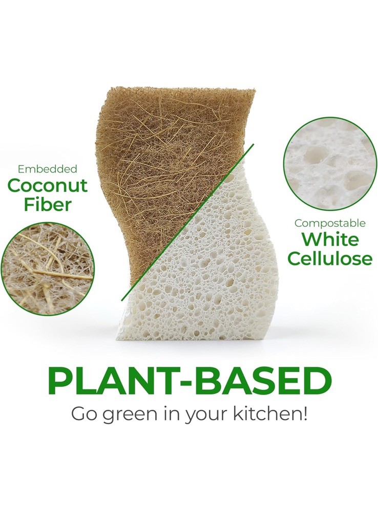 AIRNEX Natural Kitchen Sponge – Biodegradable Compostable 12 pack