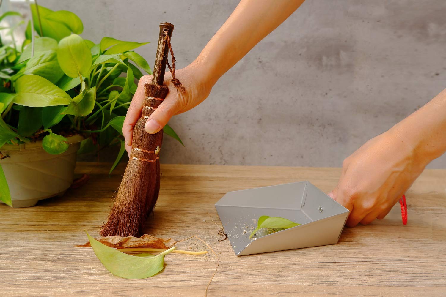 Mini Metal Dustpan and Brush Set Natural Bristle Hand Broom Fireplace Woodstove