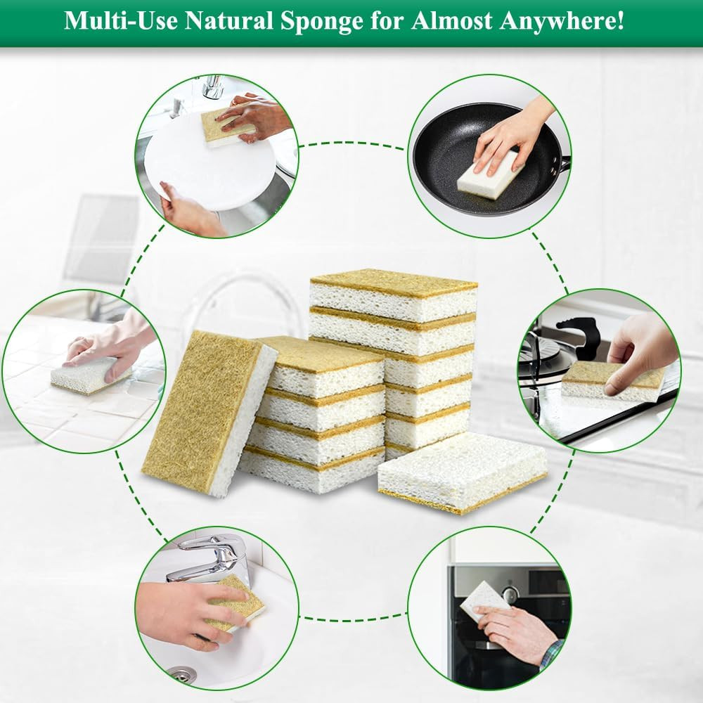 Natural Kitchen Sponge Compostable Kitchen Sponges Cellulose and Coconut Scrubbe