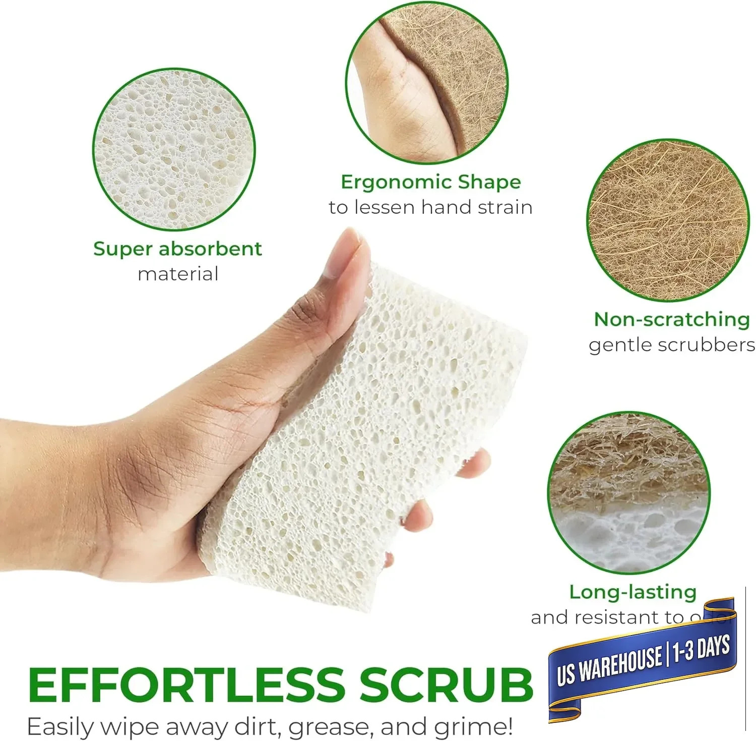 AIRNEX Natural Kitchen Sponges (12 Pack) – Biodegradable Cellulose & Coconut Scr