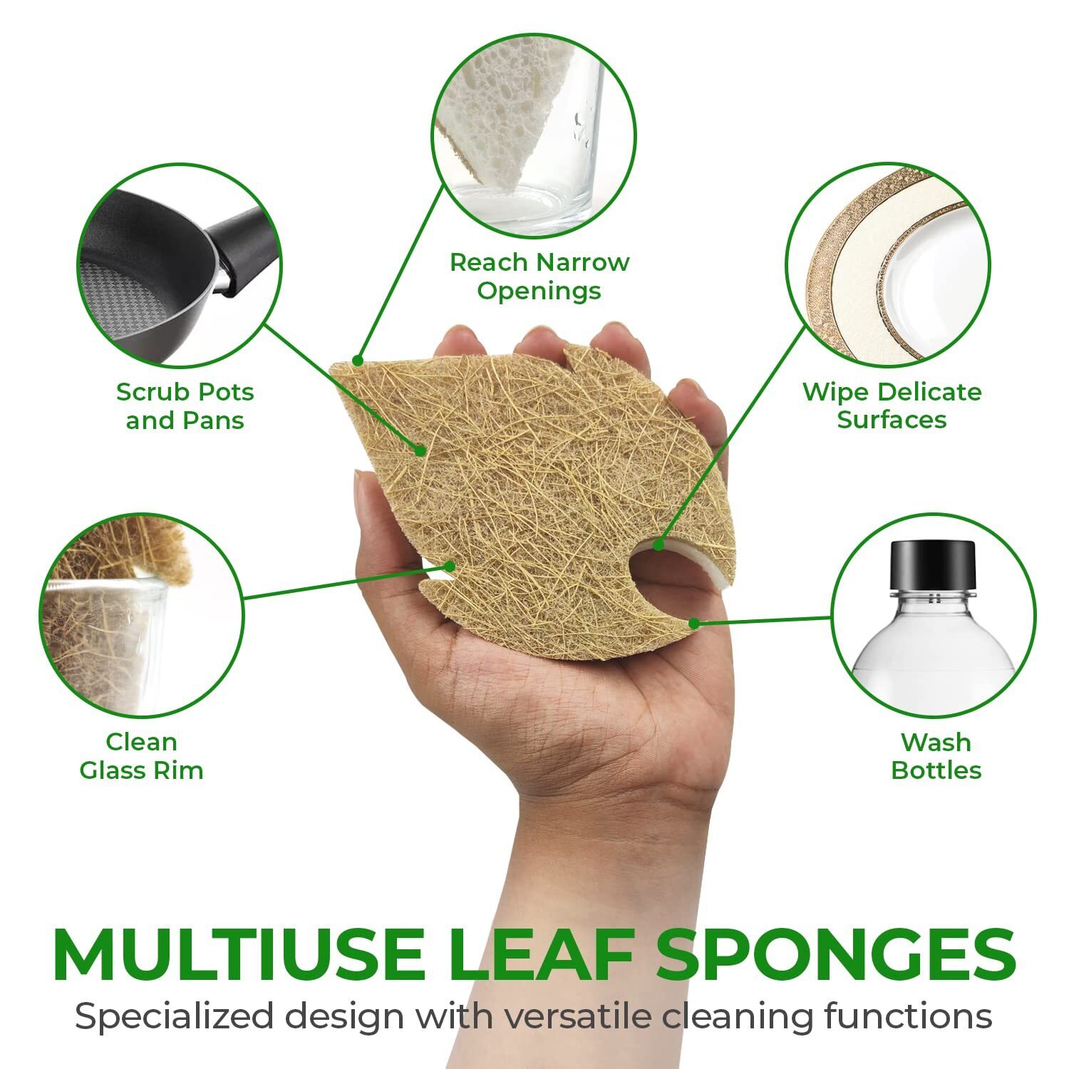Biodegradable Natural Dish Sponges Kitchen Pack Of 6 Leaf And Sshaped Coconut An