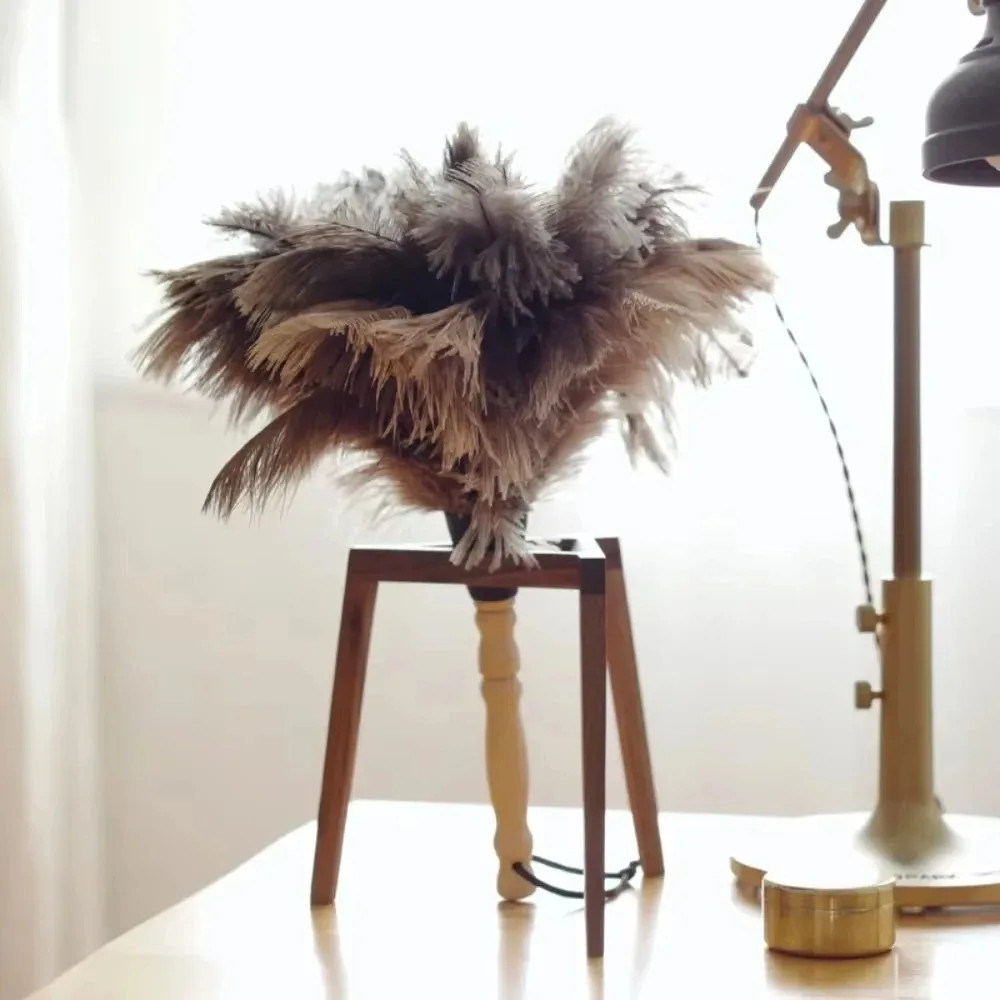 Feather Duster Wooden Handle Duster Anti-Static Dust Removal Dusters Ostrich Dus