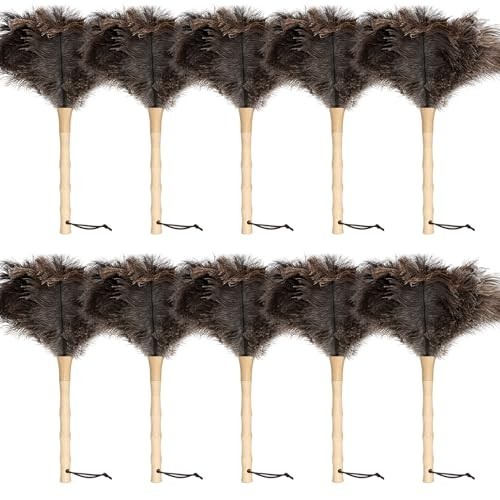 16in Ostrich Feather Duster with Wooden Handle, Reusable Cleaning Tool