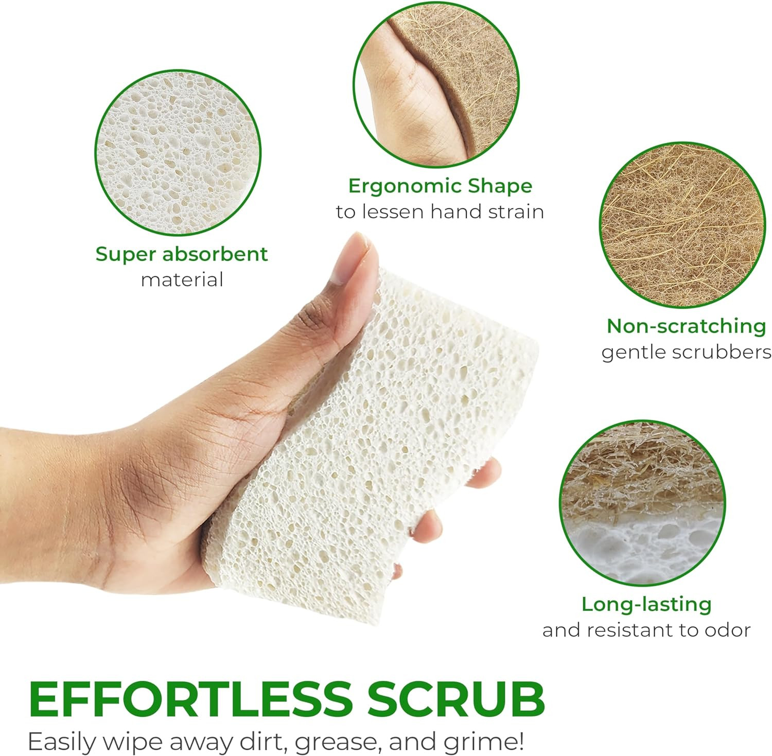 AIRNEX Natural Kitchen Sponges (12 Pack) – Biodegradable Cellulose & Coconut Scr