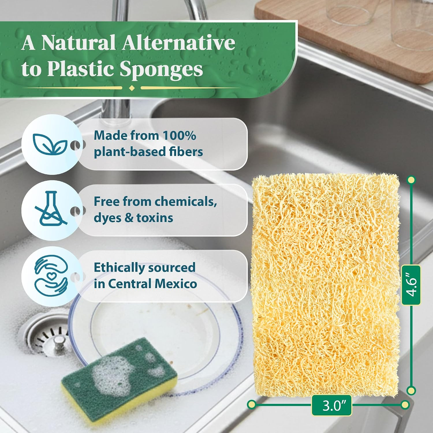 Natural Loofah Kitchen Sponge – Natural Sponges for Dishes – Eco Friendly