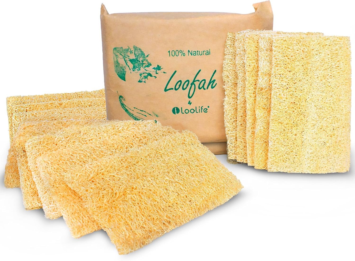 Natural Loofah Kitchen Sponge – Natural Sponges for Dishes – Eco Friendly