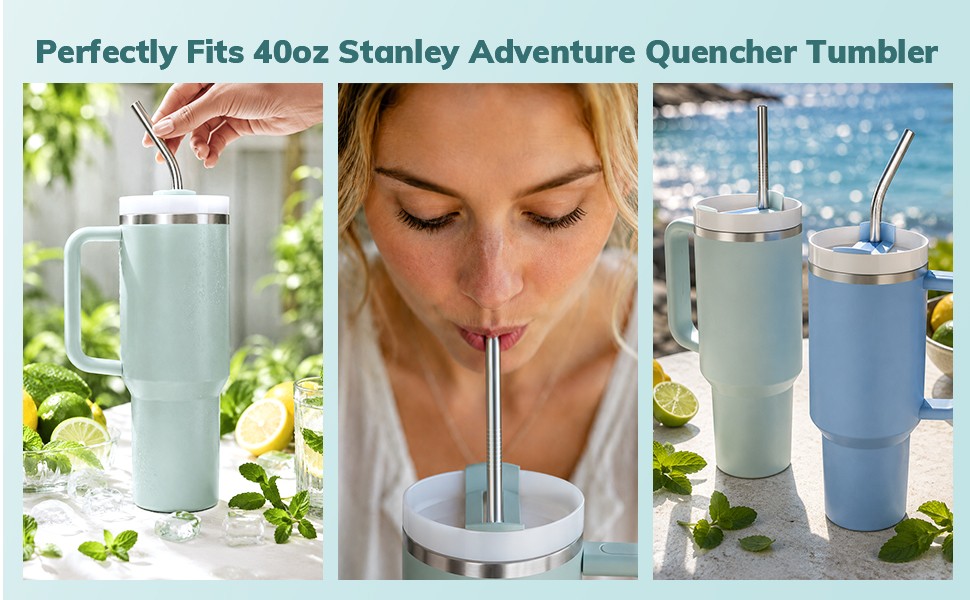 6 Pack Metal Straws for Stanley 40 oz Tumbler, Stainless Steel Reusable