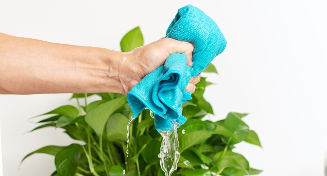 Microfiber Cleaning Cloth, 12 Pack Cleaning Rags, 12″ x 12″ Microfiber Towel,