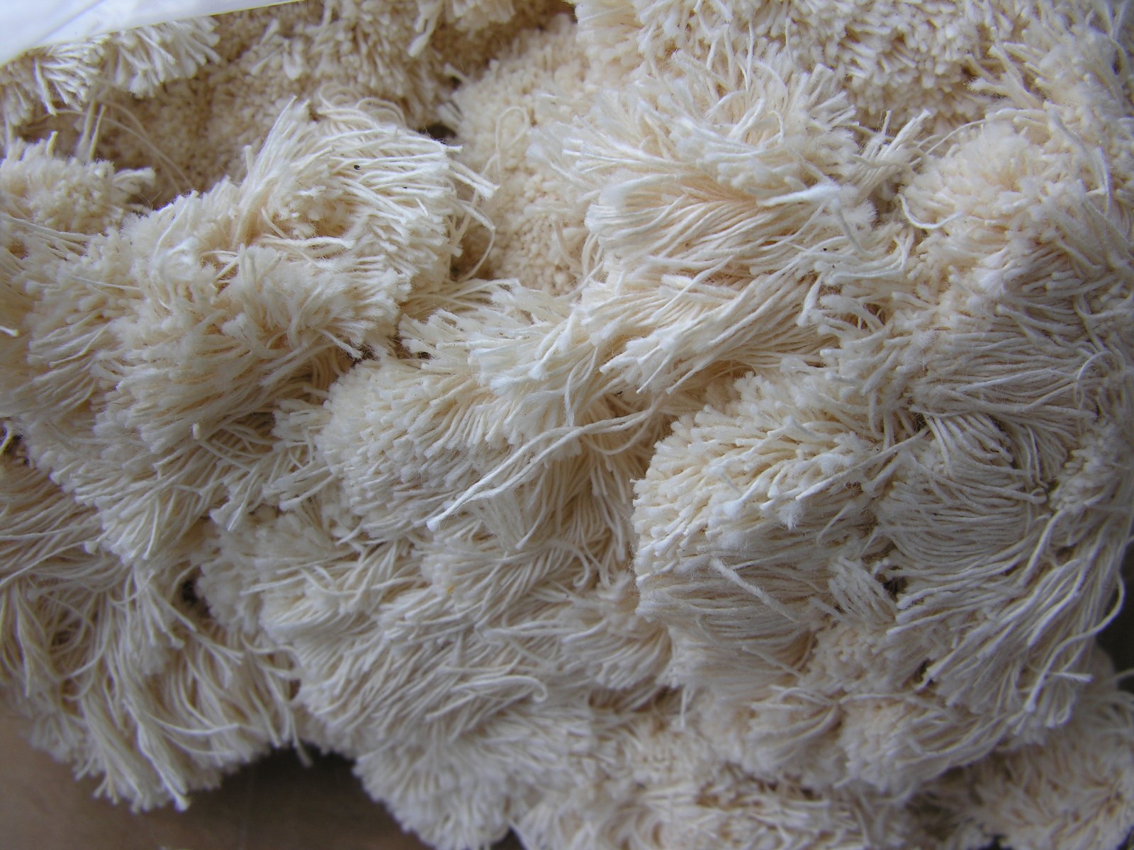 ( 2 ) COTTON ROOFING MOPS 4.Lb / Pin Type