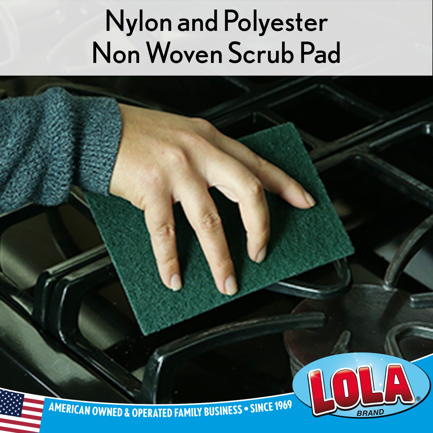 Pot Brite Scouring Fiber Pad 6 Pk – Nylon & Polyester 4″ x 6″ Cleaning Pads LOLA