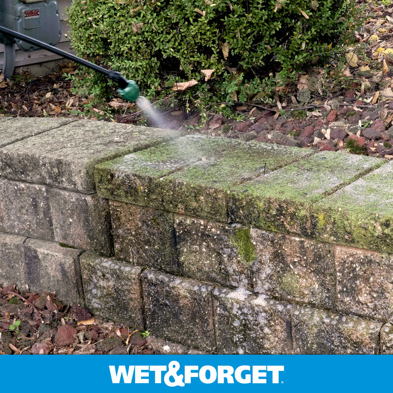 WET & FORGET Mold & Mildew STAIN REMOVER 1 Gallon Moss Algae All Surface Spray