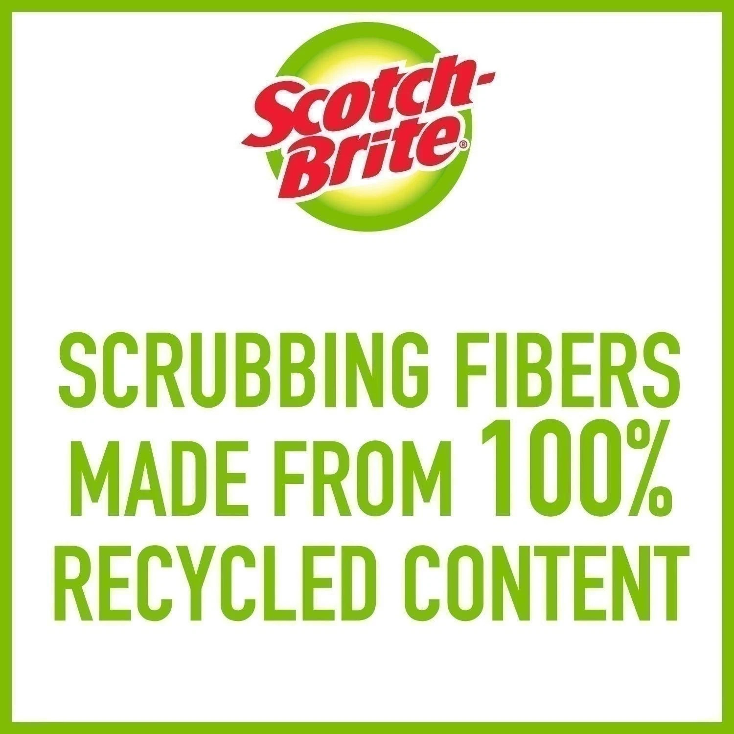 Scotch-Brite Ocelo Everyday Scrub Sponges 2 Pack New