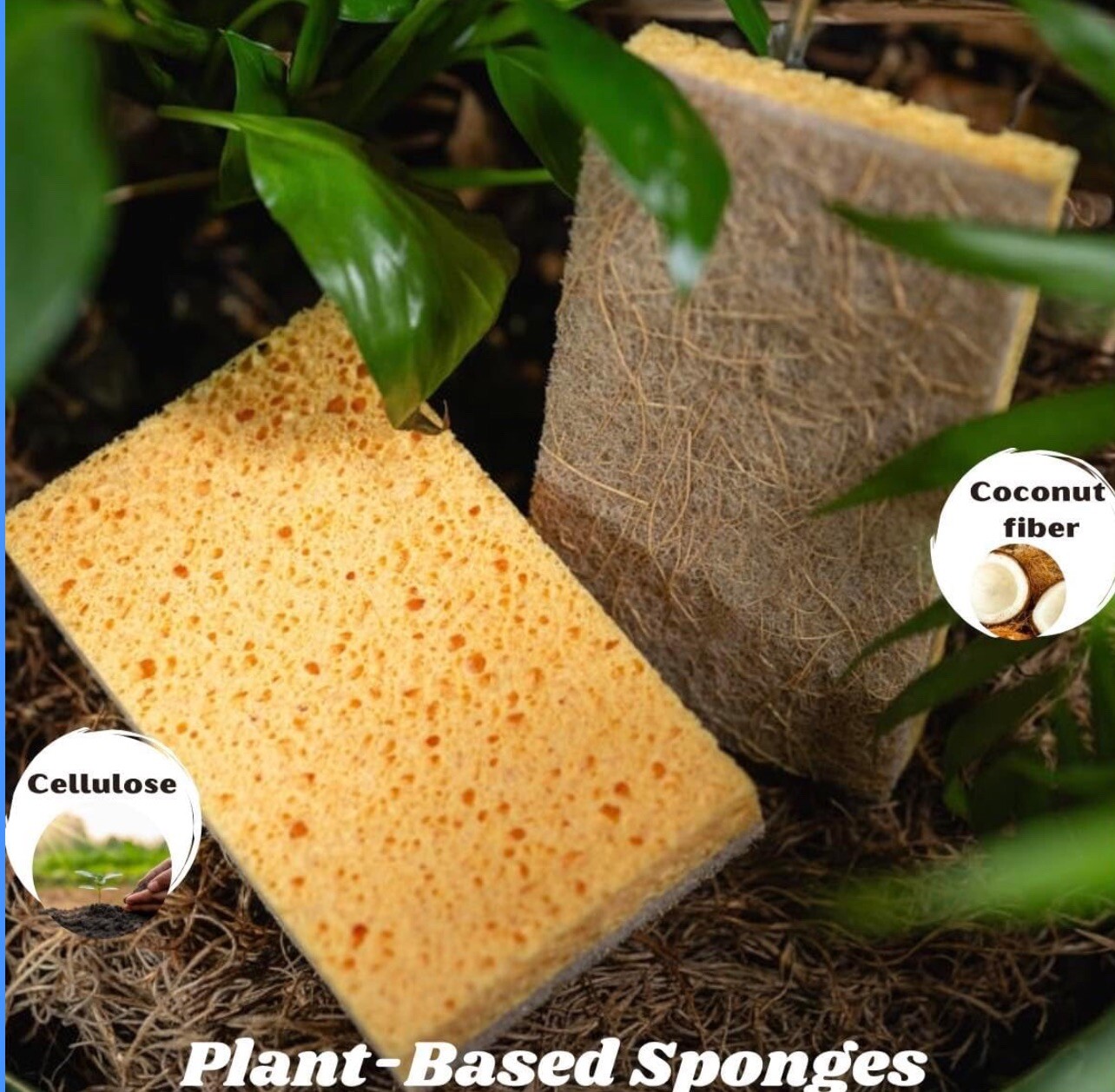 10 Pck Biodegradable Sponges Kitchen Natural Dishes Plant Based Plastic Free New